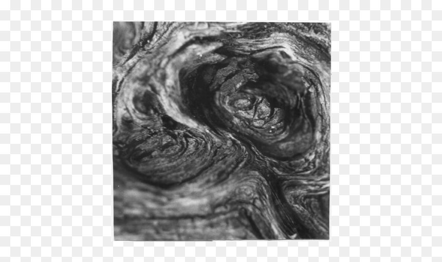 Vortex, HD Png Download - tronco png