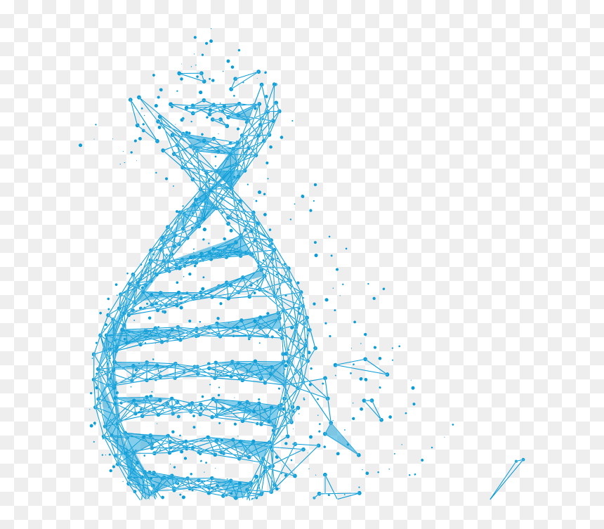 Celulas Tronco Png, Transparent Png - tronco png