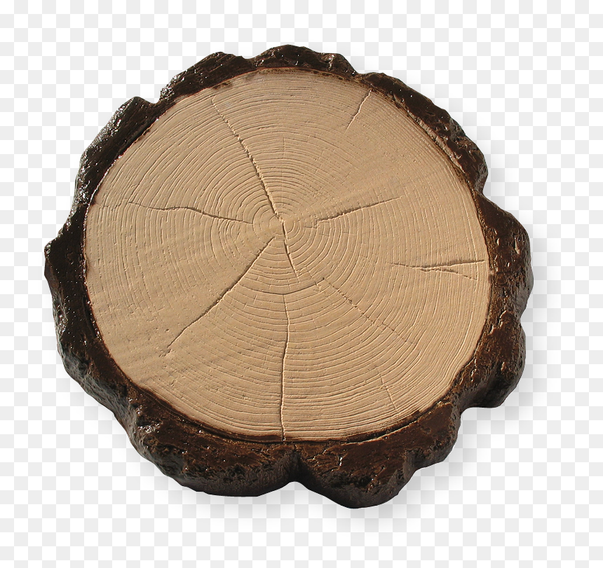 Troncobicolor - Tree Stump, HD Png Download - tronco png