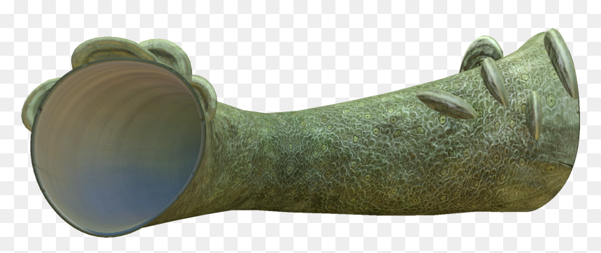Giant Coral Tube Subnautica, HD Png Download - corals png