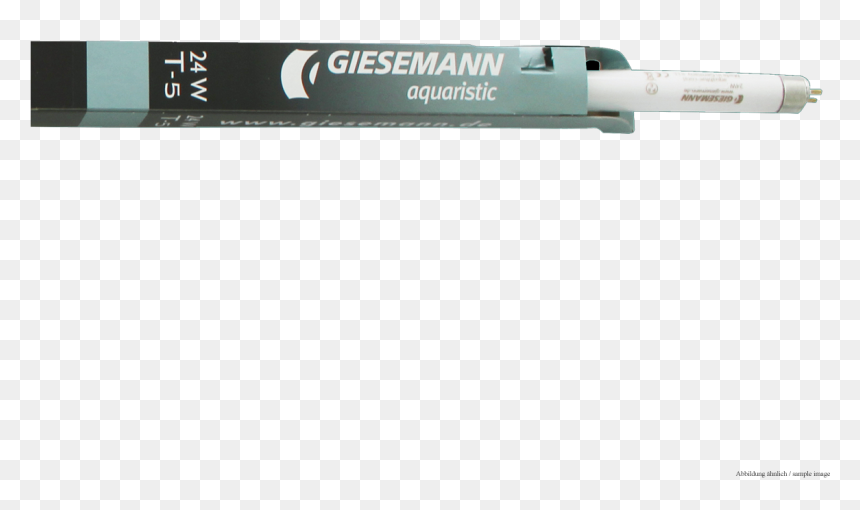 Eye Liner, HD Png Download - corals png