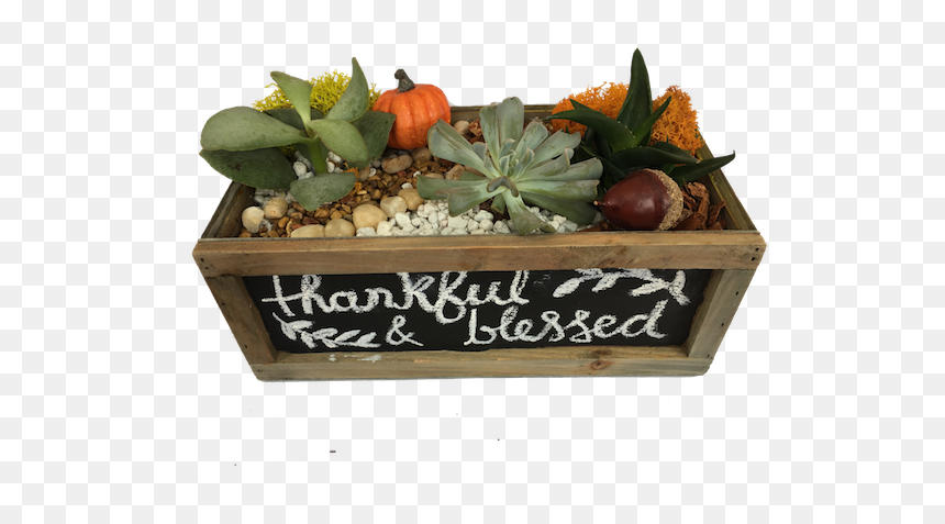 Thanksgiving Chalkboards Hd, HD Png Download - mellow mushroom logo png