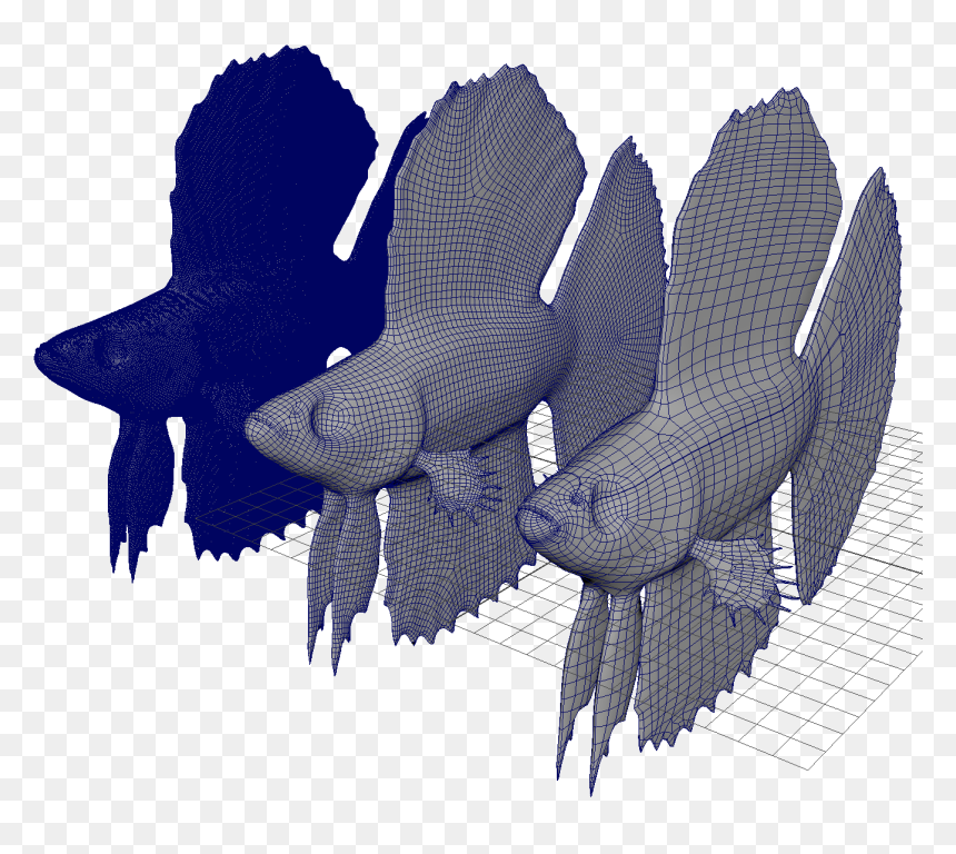 Fish Retopo - - Rock Dove, HD Png Download - zbrush icon png
