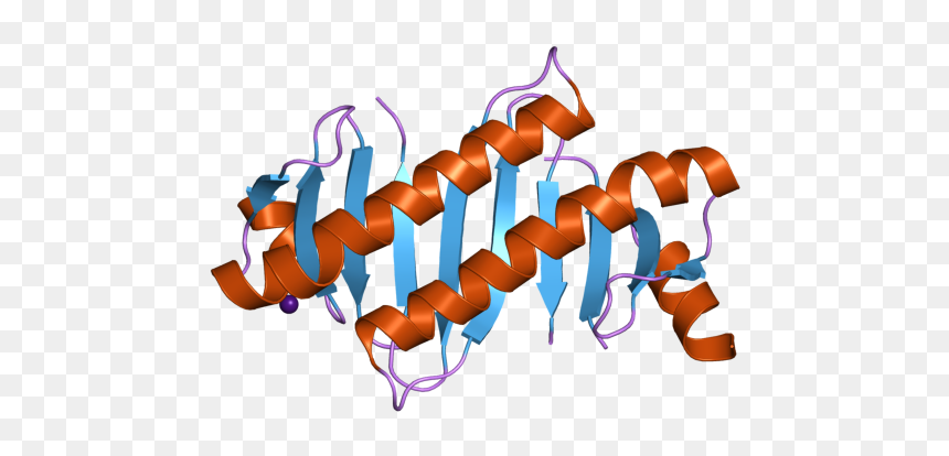 Pdb 2hz5 Ebi - Illustration, HD Png Download - roadblock png