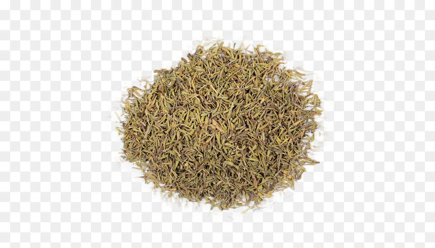 Dried Thyme Transparent, HD Png Download - thyme png