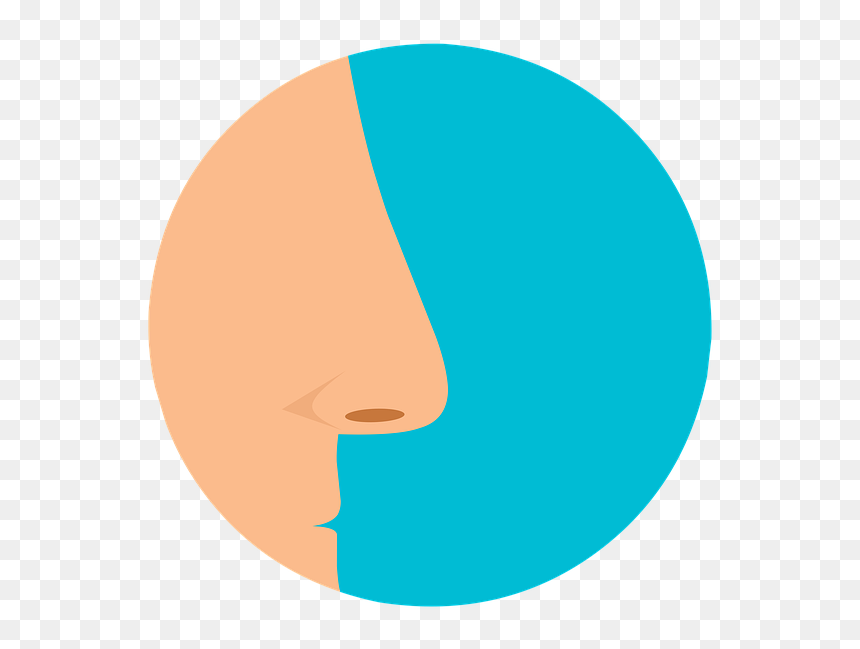 La Nariz, Hombre, Médica, La Sinusitis, Alergia, Limpia - Sinus Infection, HD Png Download - nariz png