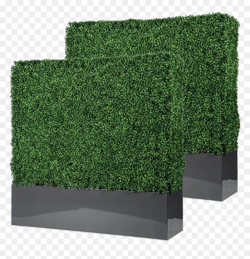 Baxter Contemporary Free Standing Boxwood Hedge With - Hedge, HD Png Download - boxwood png