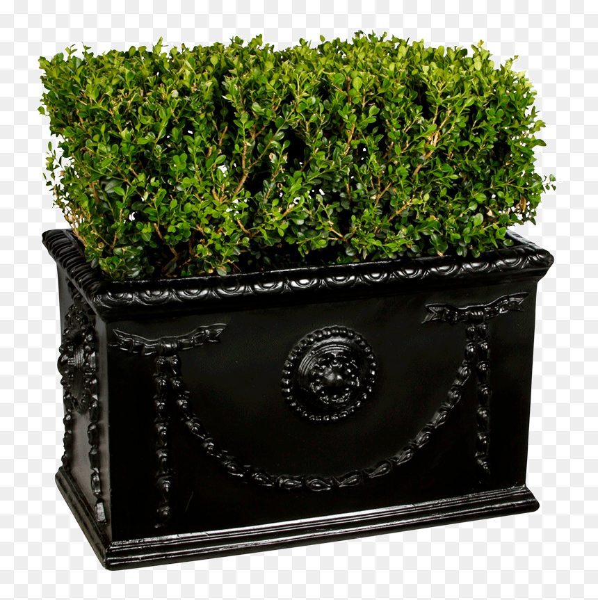 Flowerpot , Png Download - Flowerpot, Transparent Png - boxwood png