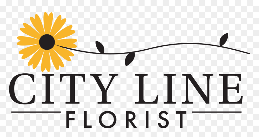 Logo For City Line Florist Trumbull - African Daisy, HD Png Download - floral lines png