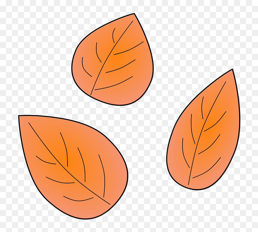 Leaves, Plants, Autumn, Leaf, Tree, Dry, Nature, Flora, HD Png Download - dry leaves png