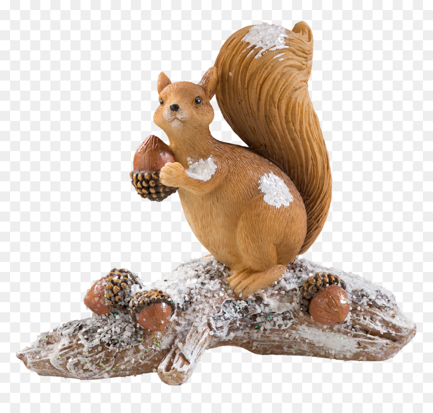 Squirrel With Acorns - Fox Squirrel, HD Png Download - acorns png