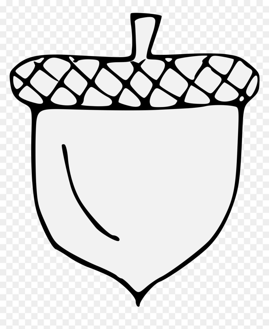 Acorn Traceable, HD Png Download - acorns png