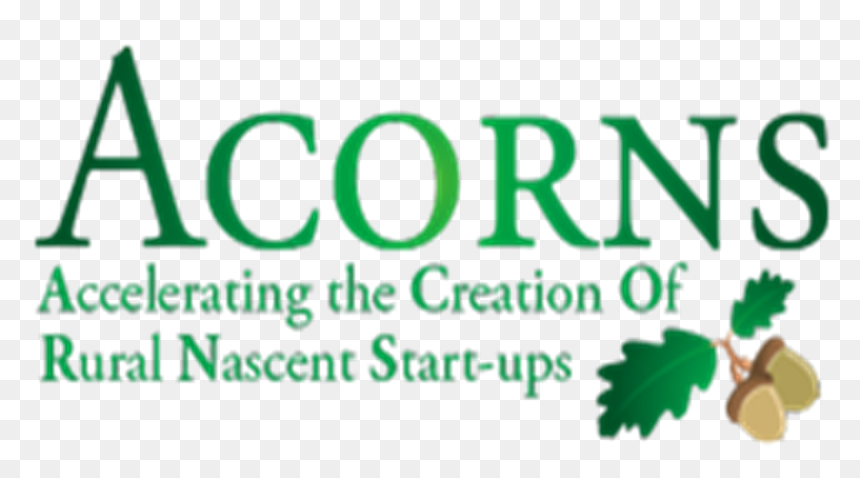 Illustration, HD Png Download - acorns png
