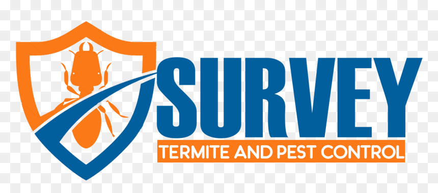 Termite Survey - Data Security, HD Png Download - termite png