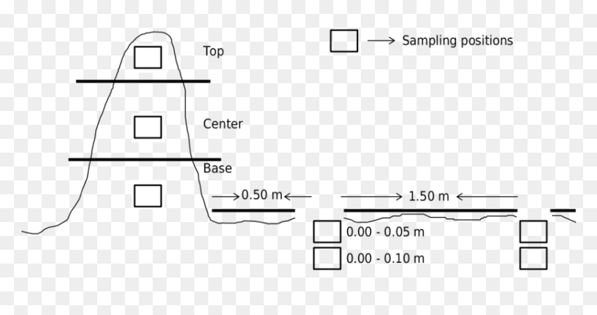 Diagram, HD Png Download - termite png