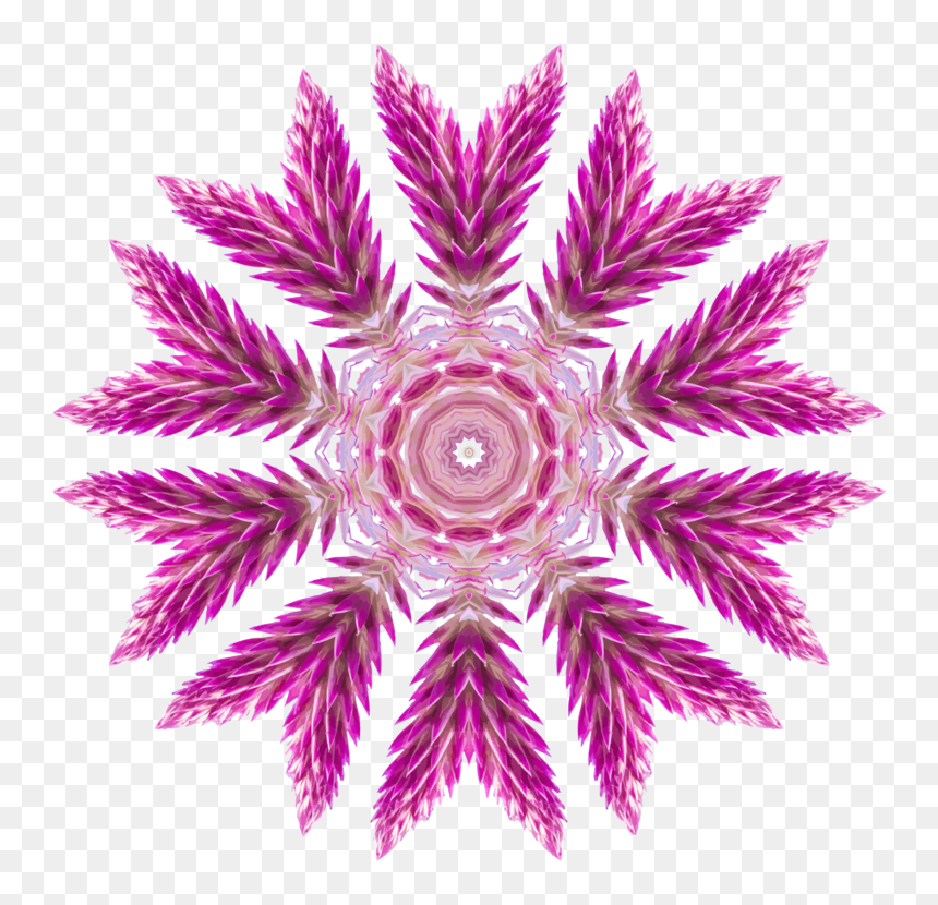 Pink,symmetry,purple - Circle, HD Png Download - pink paint png