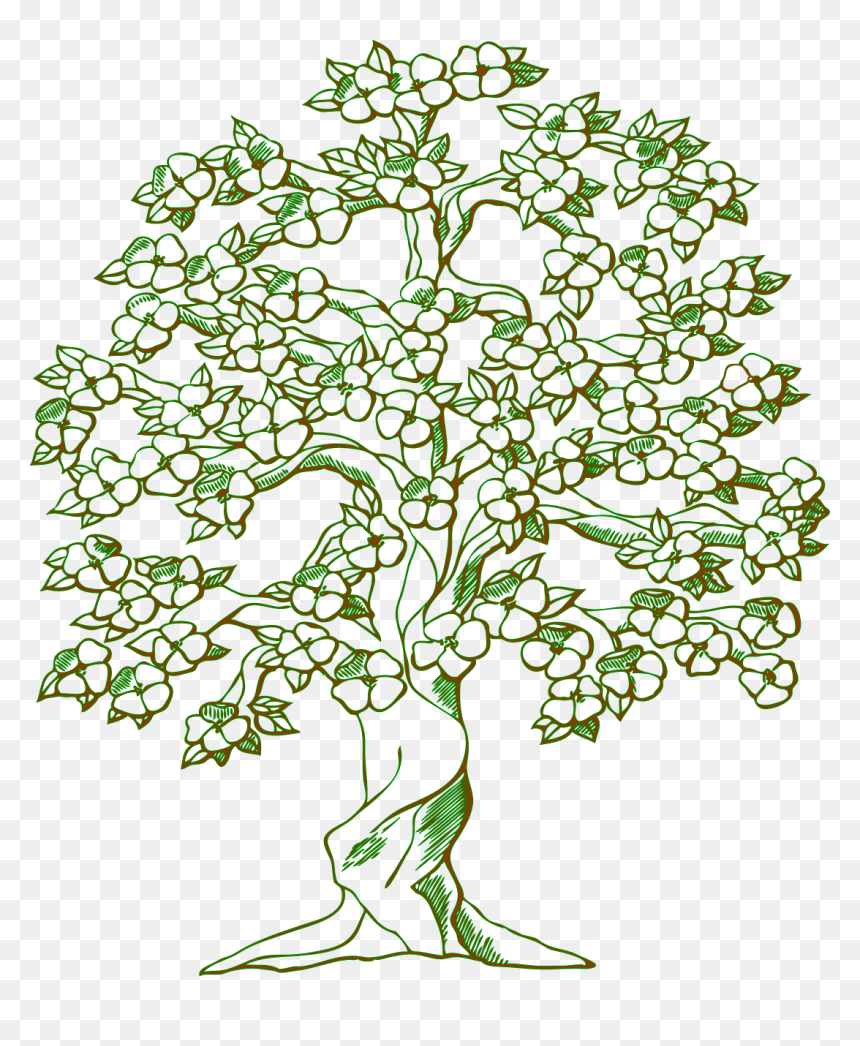 Trees Cliparts Black And White, HD Png Download - flowering tree png