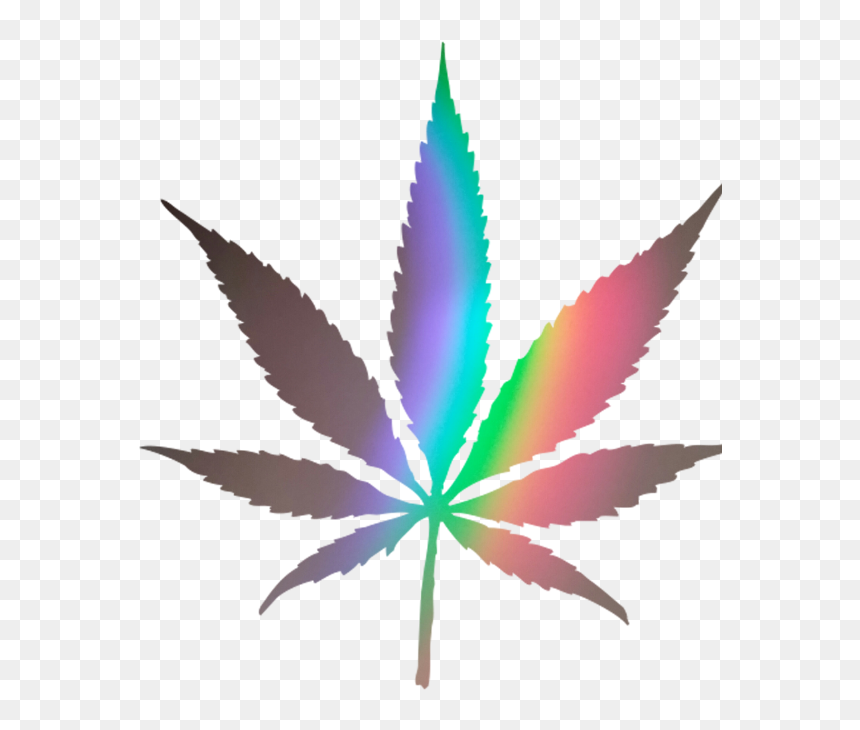 Cannabis Leaf, HD Png Download - weed plants png