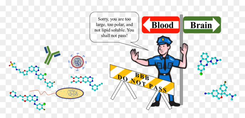 Drugdev Large - Cartoon, HD Png Download - large png