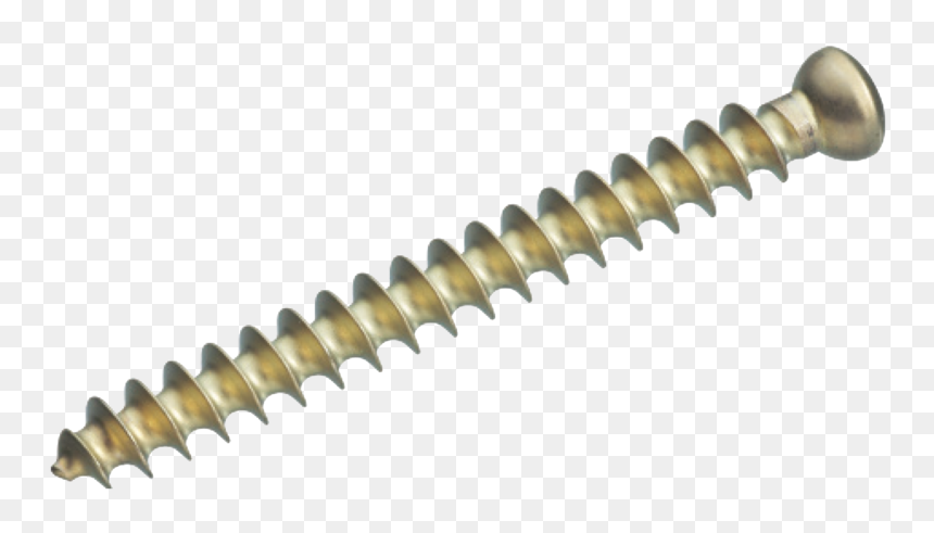Ammunition Belt, HD Png Download - ammo belt png