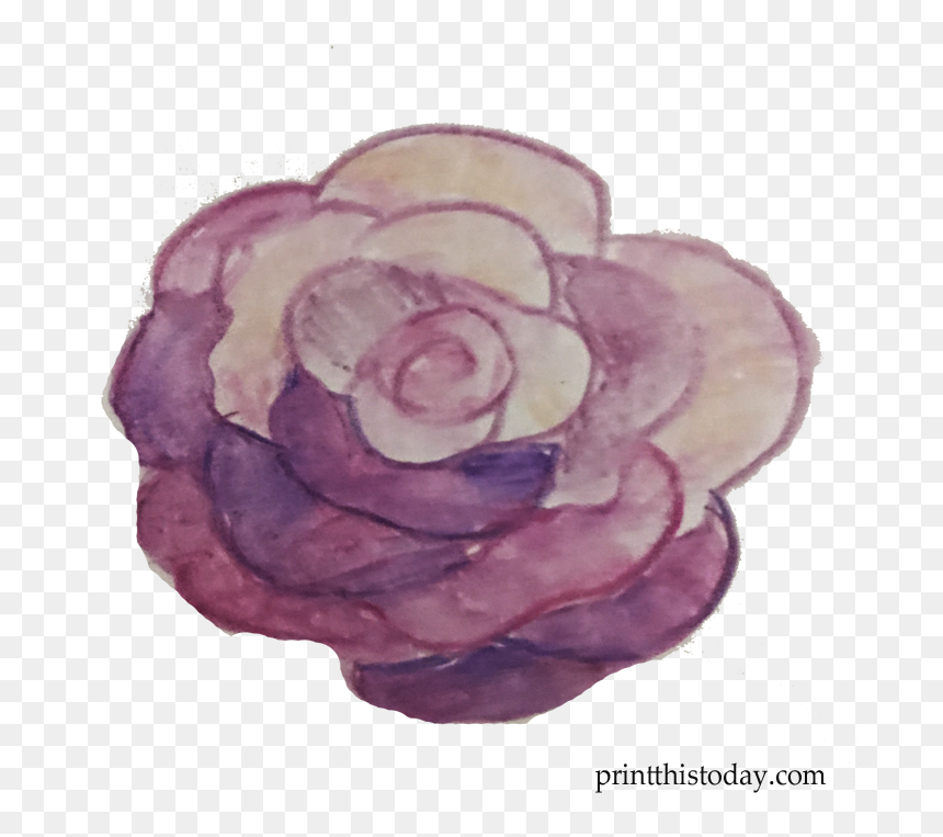 Free Handmade Watercolor Rose Clipart - Floribunda, HD Png Download - watercolor flower wreath png