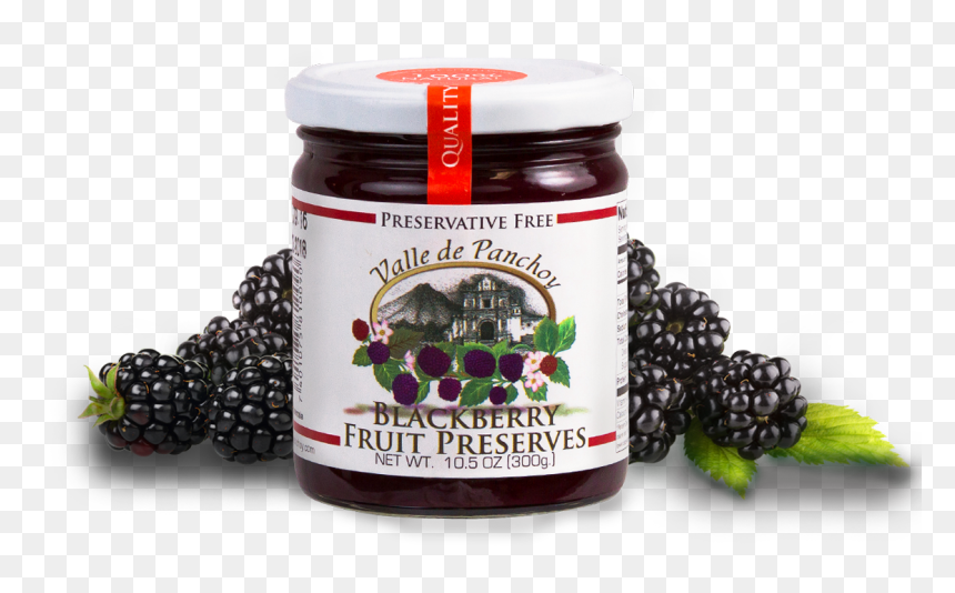 Transparent Blackberry Fruit Png, Png Download - blackberry fruit png