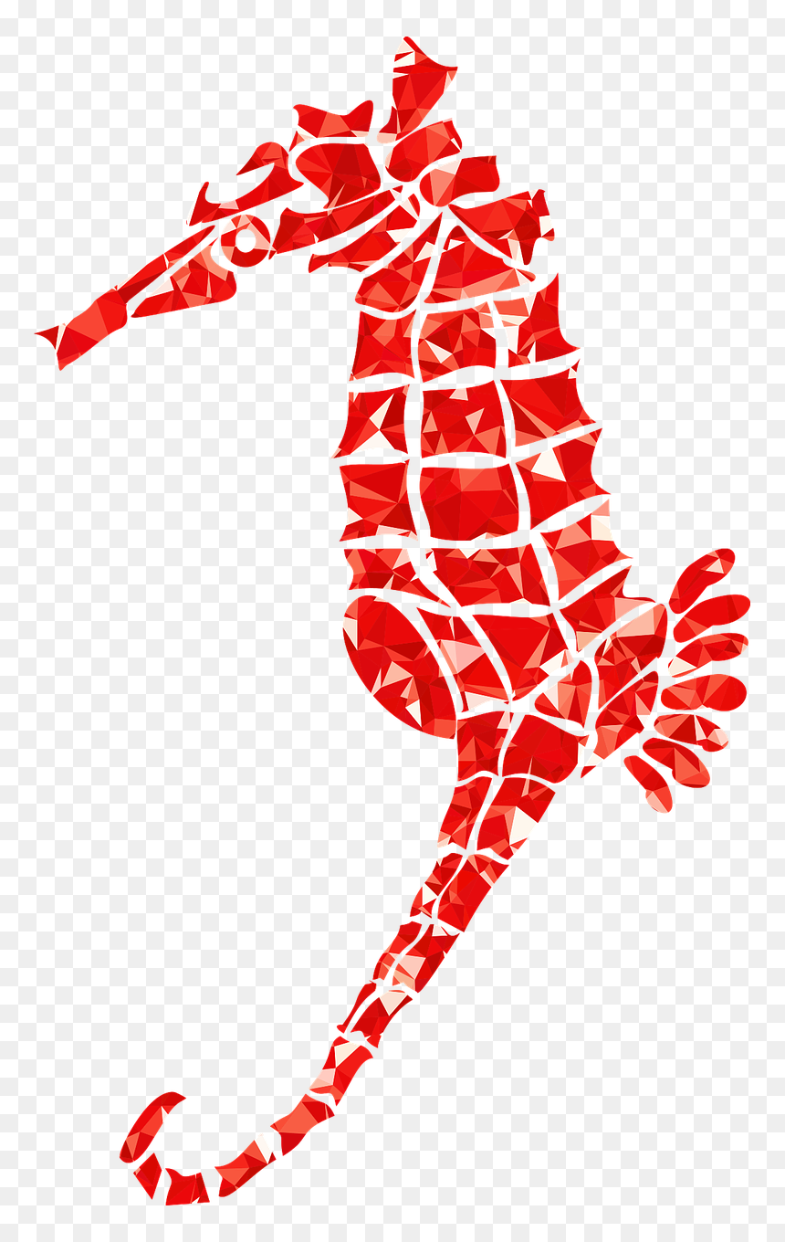 Seahorse, HD Png Download - ruby gem png