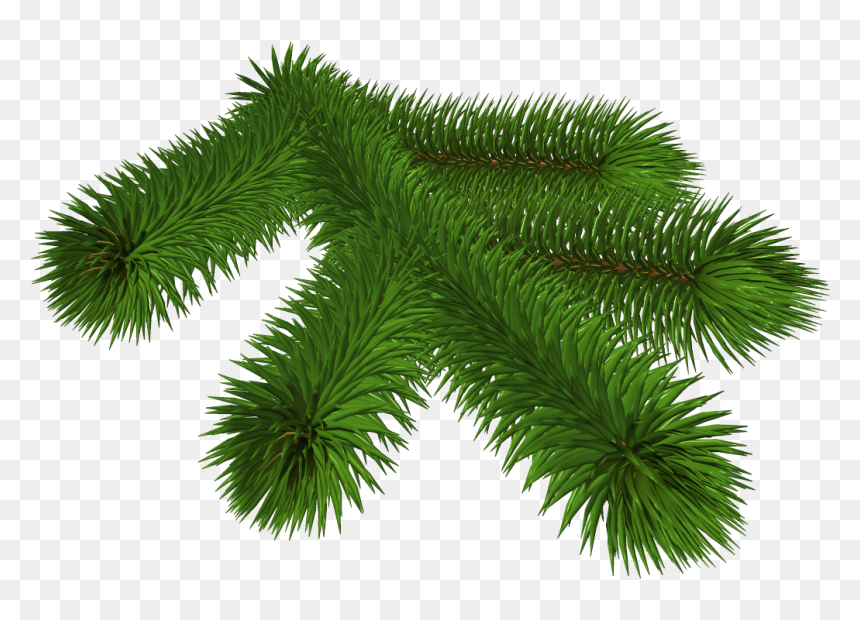 Transparent Pine Branch 3d Clipart - Pine Tree Branch Transparent Background, HD Png Download - 3d tree png