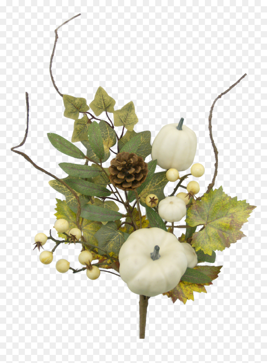 16, HD Png Download - white pumpkin png
