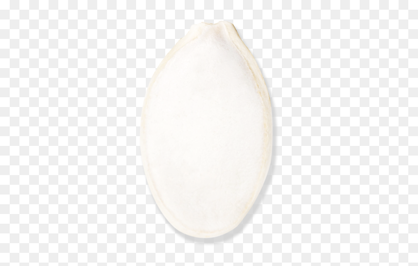 Circle, HD Png Download - white pumpkin png