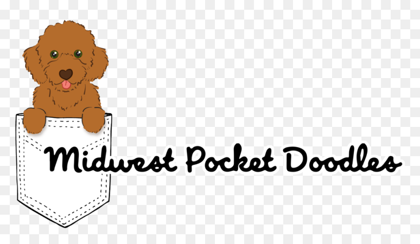 Midwest Pocket Doodles 2 - Cartoon, HD Png Download - png doodles