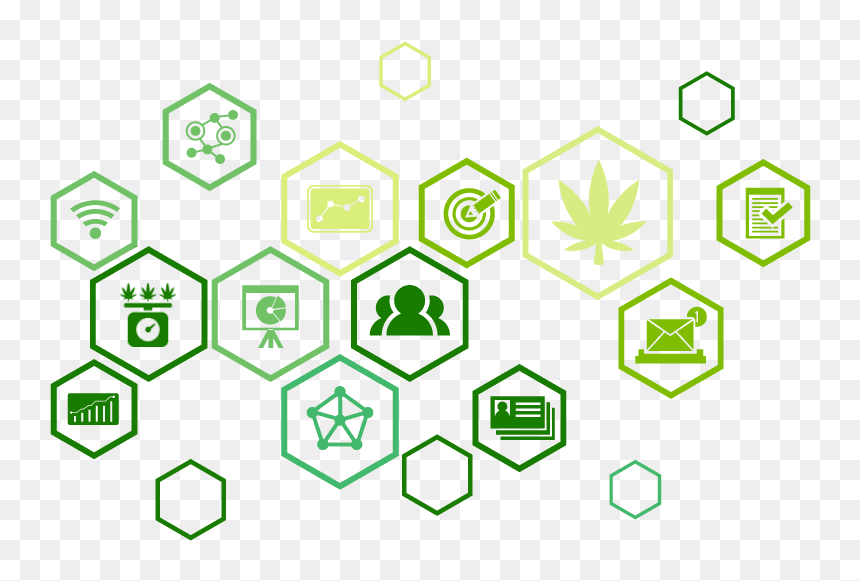 Digital Icons To Help Design A Website - Cannabis Business Icons, HD Png Download - digital marketing icons png