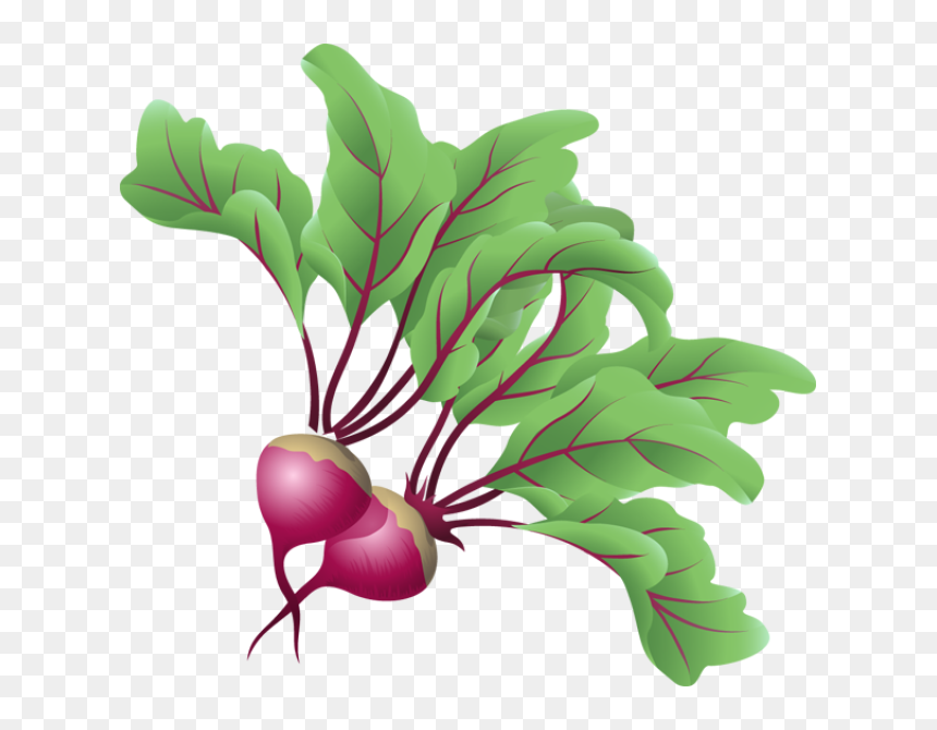Transparent Vegetable Icon Png - Beets Clipart, Png Download - vegetable icon png