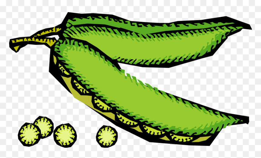 Vegetables 48 Clipart, HD Png Download - vegetable icon png