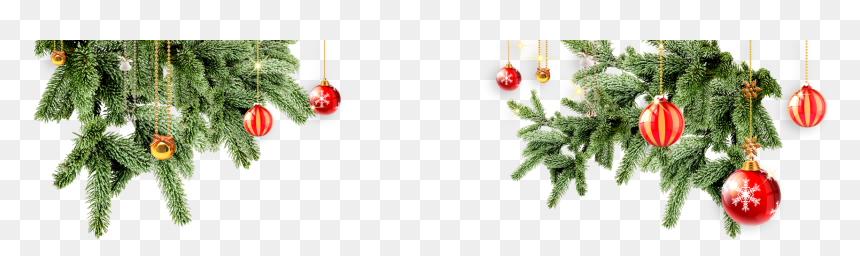 Chrismas Tree Png, Transparent Png - chrismas tree png