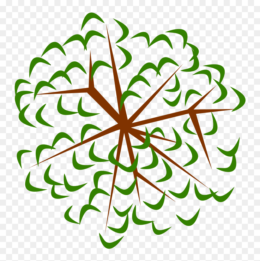 Transparent Macrophage Clipart - Tree Clipart From Above, HD Png Download - trees from above png
