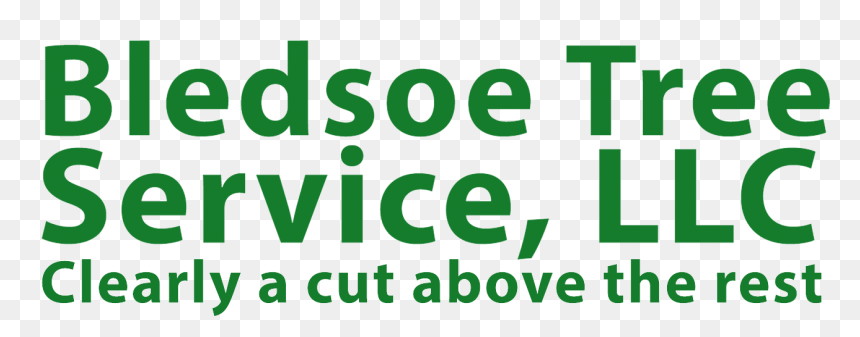 Graphic Design, HD Png Download - trees from above png