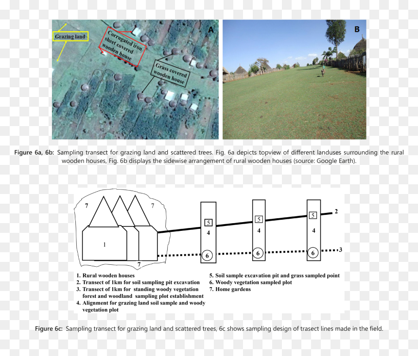Diagram, HD Png Download - trees from above png