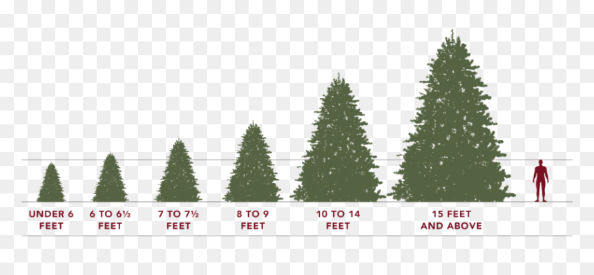 Artificial Christmas Tree Sizes, HD Png Download - trees from above png