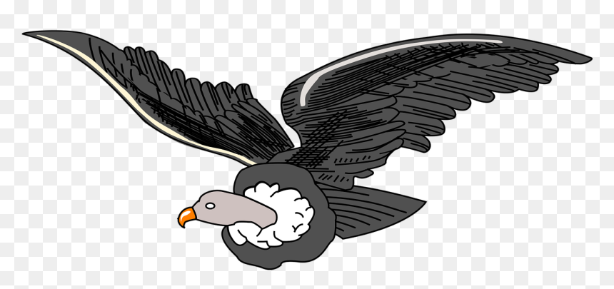 Andean Condor Clipart, HD Png Download - condor png