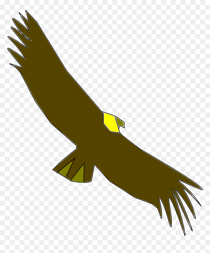 Condor Colombiano Svg Clip Arts - Condor Clipart, HD Png Download - condor png