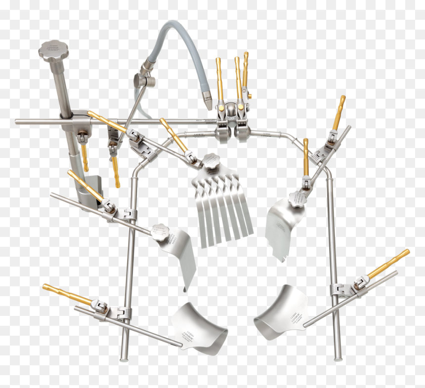 Condor Struma, HD Png Download - condor png