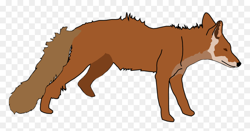 Fox Clip Art, HD Png Download - fox tail png