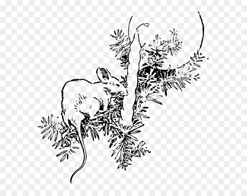 Mouse And Candle Png Clip Arts - Fir Tree, Transparent Png - mouse .png