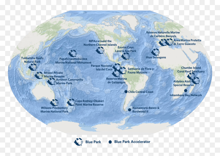 2019 Blue Parks Map No-title - Marine Protected Area Locations 2019, HD Png Download - sea coral png