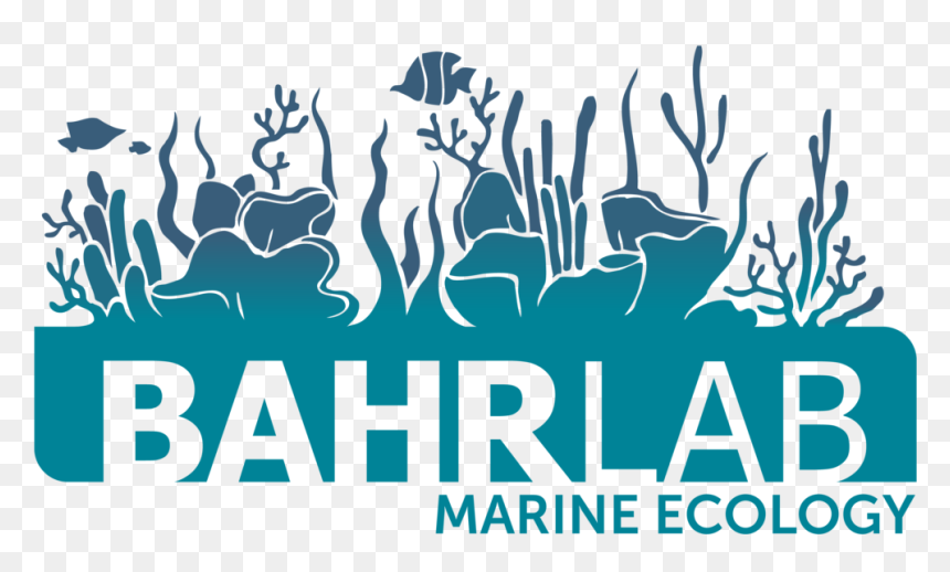 Bahrlabb - Poster, HD Png Download - hypothesis png