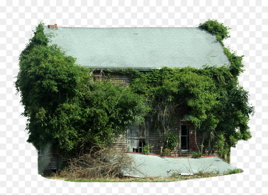 Transparent Old Tree Png - Tree House, Png Download - architecture tree png