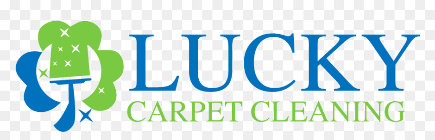 Immigration, HD Png Download - carpet cleaning png