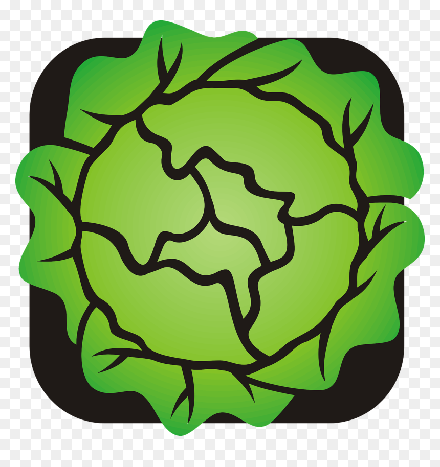 Lettuce, Salad, Green, Vegetables - Lettuce Clip Art Transparent, HD Png Download - salad clipart png