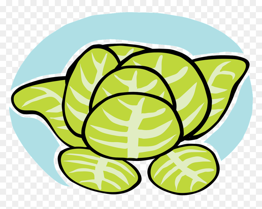 Lettuce, Iceberg, Veggie, Vegetable, Leaves, Salad - Lettuce Clip Art, HD Png Download - salad clipart png